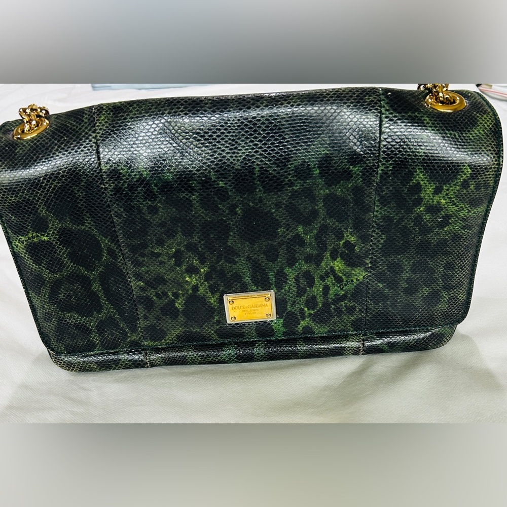 Dolce & Gabbana
Model Name: Pochette Karung Leo
Color Verdone - Picture 3 of 12